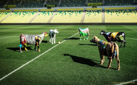 vaches-beaujoire-cestpasnous-min